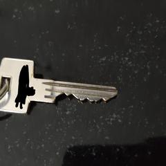 Sleutel met blauw rode sleutelhanger an iLost gemeldet