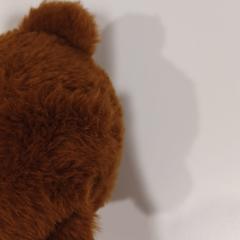 Peluche, ha sido reportado por RÍO Shopping - Valladolid con iLost