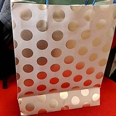 Tasje, segundo informou Syntus Provincie Utrecht usando iLost