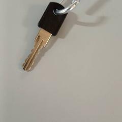 Clé, a été signalé par Padualaan 99 utilisant iLost