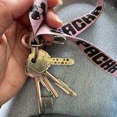 Sleutels met roze keychain, jak zgłoszono do iLost