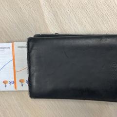 Korthållare Seems, rapporterat av Gemeente Roermond med iLost