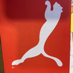 Shoes Puma, as reported by Designer Outlet Roosendaal using iLost