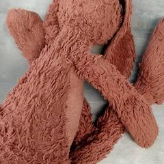 Knuffel, as reported by Arriva Friesland / Groningen using iLost