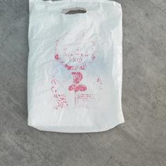 Bag, as reported by RRReis Arriva Achterhoek-Rivierenland using iLost