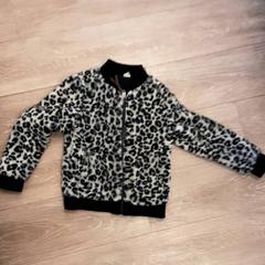 Veste, a été signalé par Diergaarde Blijdorp utilisant iLost