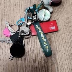 سلسلة المفاتيح، كما تم الإبلاغ عنه بواسطة RRReis Trein Amersfoort / Ede-Wageningen عبر iLost