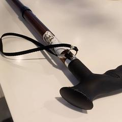 Gehstock, gemeldet von RAI Amsterdam über iLost