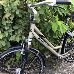 Damesfiets, segons s'ha informat a iLost