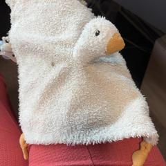 Tut doekje، كما تم الإبلاغ عنه بواسطة Burgers' Zoo عبر iLost