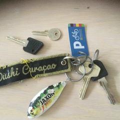 Sleutelbos, ha sido reportado a iLost