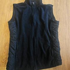 Vesta, ako bolo nahlásené GVB pomocou iLost