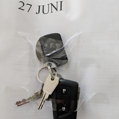 sleutelbos met autosleutel, segons s'ha informat a iLost