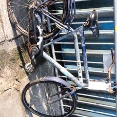 Herrcykel belfor, rapporterat av Stadswerk072 med iLost