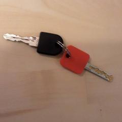 Key case with keys, as reported by LUMC using iLost