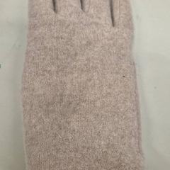 Glove, as reported by Transdev Gooi en Vechtstreek using iLost