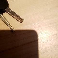 Chaveiro, como reportado por Beekse Bergen Resorts en Hotel utilizando o iLost