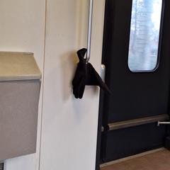 Gloves، كما تم الإبلاغ عنه عبر iLost