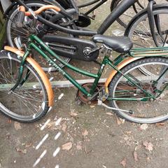 Bicicletta Alpina Oranje, groen, come riportato da Fietsdepot Meierijstad utilizzando iLost