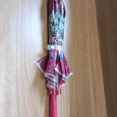 Umbrella, as reported by Arriva Limburg Zuid using iLost