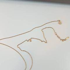 Halsband Goud kleurig, rapporterat av UMC Utrecht med iLost