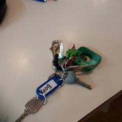 Kľúčenka, ako bolo nahlásené LUMC pomocou iLost