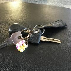 Sleutelbos, iLost에 보고됨