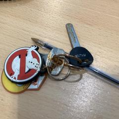 열쇠 smily, iLost를 사용하여 Gemeente Gooise Meren에 보고됨