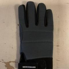 Gloves Werckmann, as reported by Artis using iLost