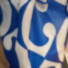 Sack bleu et blanc, gemeldet von TCL über iLost