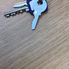 Chaves, como reportado por Canisius-Wilhelmina Ziekenhuis utilizando o iLost