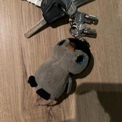 Key, as reported by Van der Valk Hotel Haarlem using iLost
