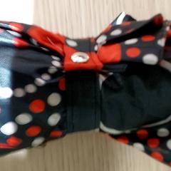 Dáždnik, ako bolo nahlásené Regio Antwerpen - Brussel pomocou iLost