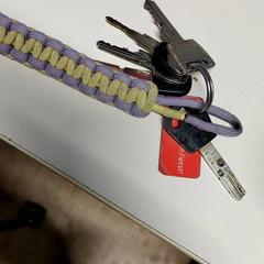 سلسلة المفاتيح، كما تم الإبلاغ عنه بواسطة St. Antonius Ziekenhuis Nieuwegein عبر iLost