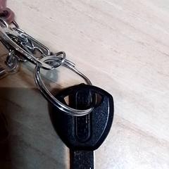 Sleutel, zoals gemeld door Beekse Bergen Resorts en Hotel met iLost