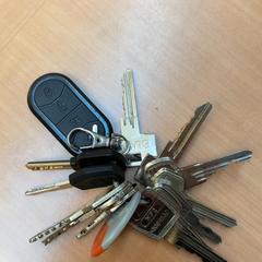 Sleutelbos, som rapportert av Gemeente Zutphen ved bruk av iLost