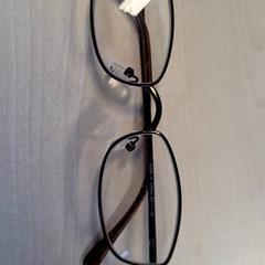 النظارات، كما تم الإبلاغ عنه بواسطة Connexxion Haarlem IJmond عبر iLost