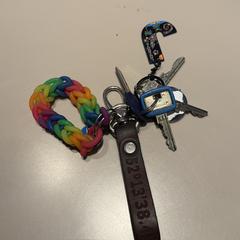 Sleutelbos, ha sido reportado a iLost