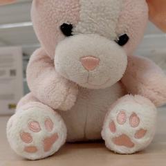 Plyšová facka Rose, ako bolo nahlásené IKEA Tours pomocou iLost