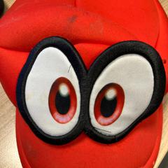 Pet Mario, gemeldet von Pathé Zwolle über iLost