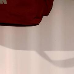 İLost kullanarak De Efteling tarafından bildirildiği gibi Çanta