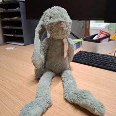 Knuffel konijn konijn, rapporterat av IKEA Duiven med iLost