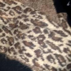 Xaile, como reportado por TivoliVredenburg utilizando o iLost