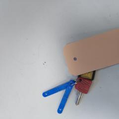 Sleutel، كما تم الإبلاغ عنه بواسطة Hermes Eindhoven عبر iLost