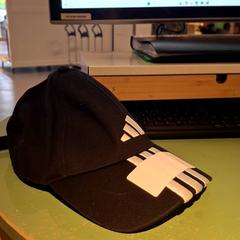 Pet Noir, zoals gemeld door IKEA Villiers-sur-Marne met iLost