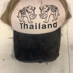 Beisbol txapela, gisa salatu by Artis iLost erabiliz