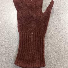 Handschoen, gemeldet von Centraal magazijn über iLost