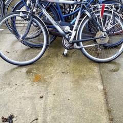 Bicicleta masculina gazelle, segons ha informat Stadswerk072 mitjançant iLost