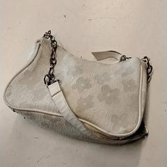 Tasje Ivanova, zoals gemeld door GVB met iLost