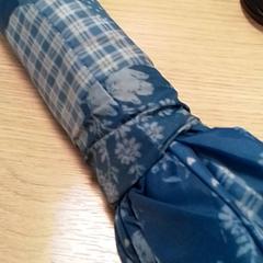 우산 Blauw,, iLost를 사용하여 Qbuzz Fryslân에 보고됨